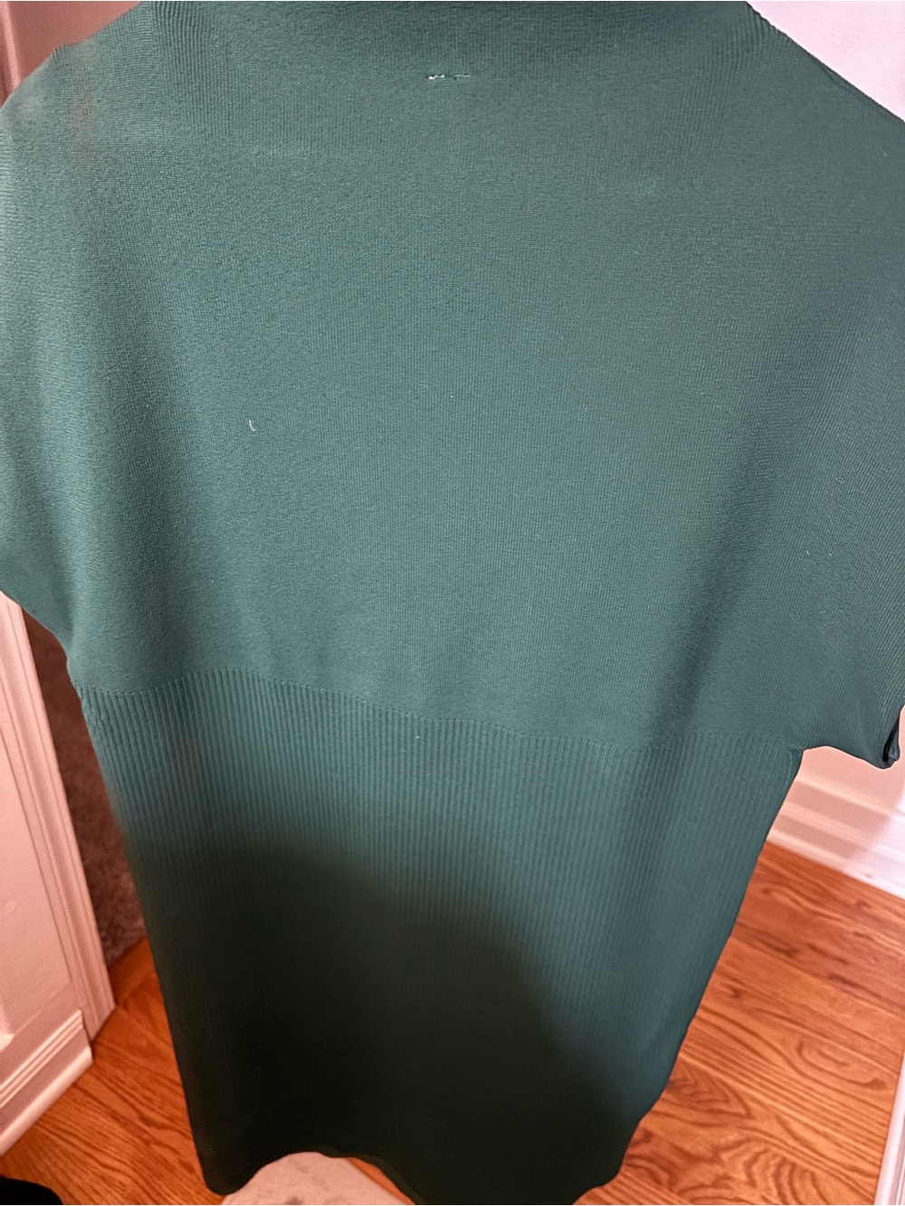 Anthropologie Teal Sleeveless Mock Neck Dress - Picture 4 of 7